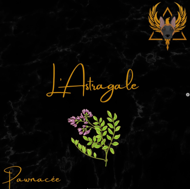 L'Astragale