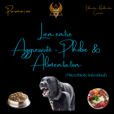 Lien entre agression-phobie et alimentation, avec un chien et des plats sains.